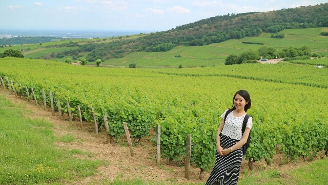 f:id:ayanoafrace:20180625065734j:image f:id:ayanoafrace:20180625065734j:image