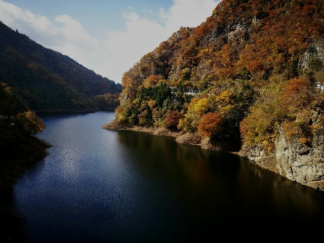 f:id:ayanolog:20161114122638j:image