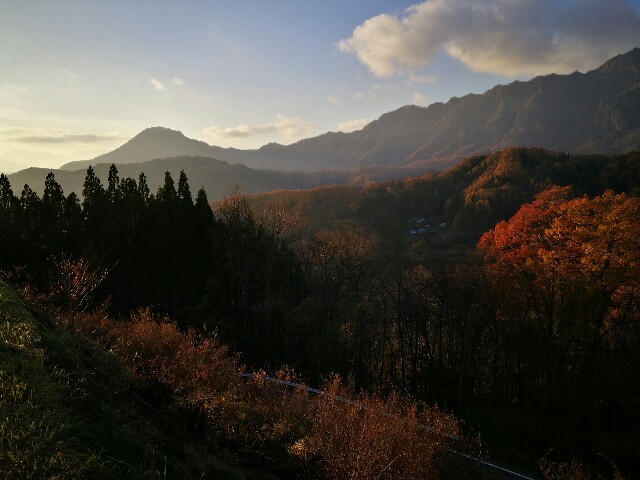 f:id:ayanolog:20161114122711j:image