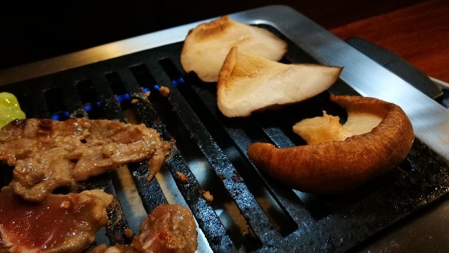 f:id:ayanolog:20170514093904j:image
