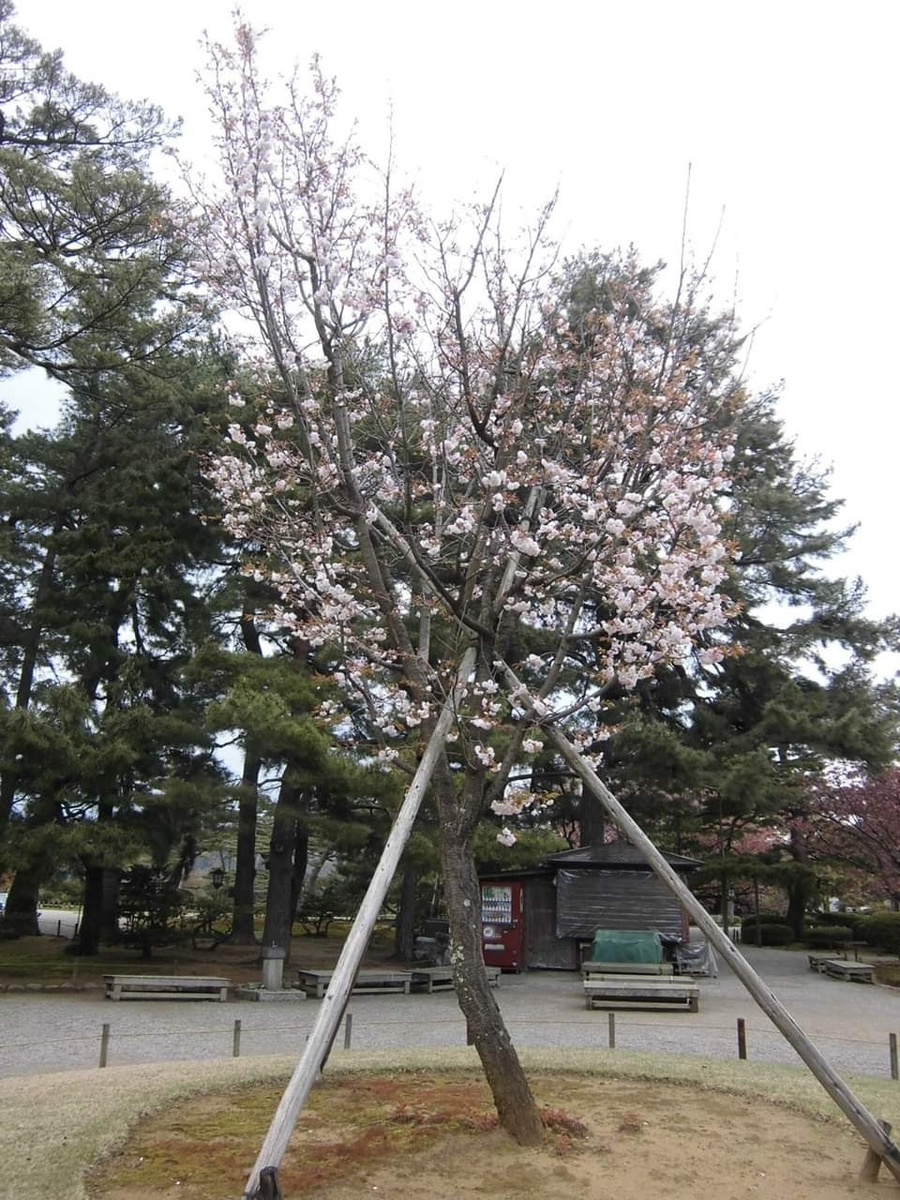 f:id:ayanone-hideyox:20200430073611j:plain