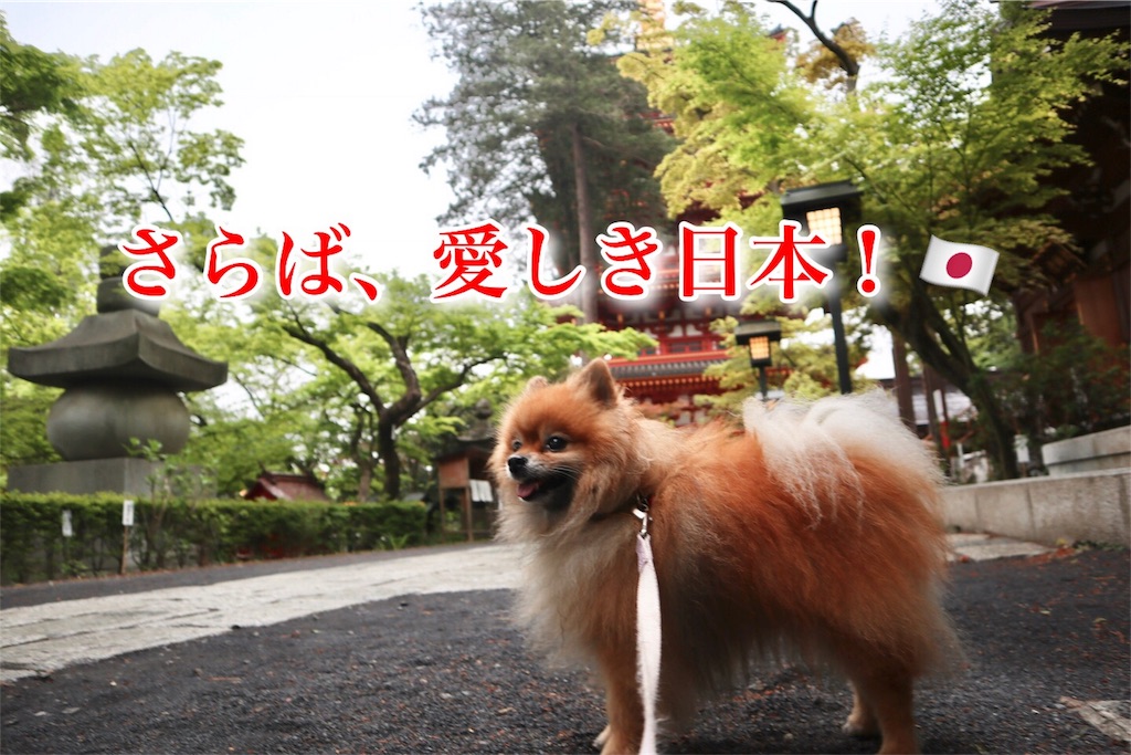 f:id:ayanontabijo:20180425082101j:image