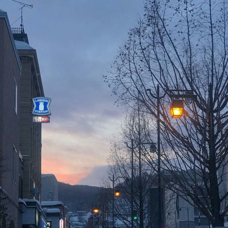 f:id:ayanoooncutcut:20190320191334j:plain f:id:ayanoooncutcut:20190320191334j:plain