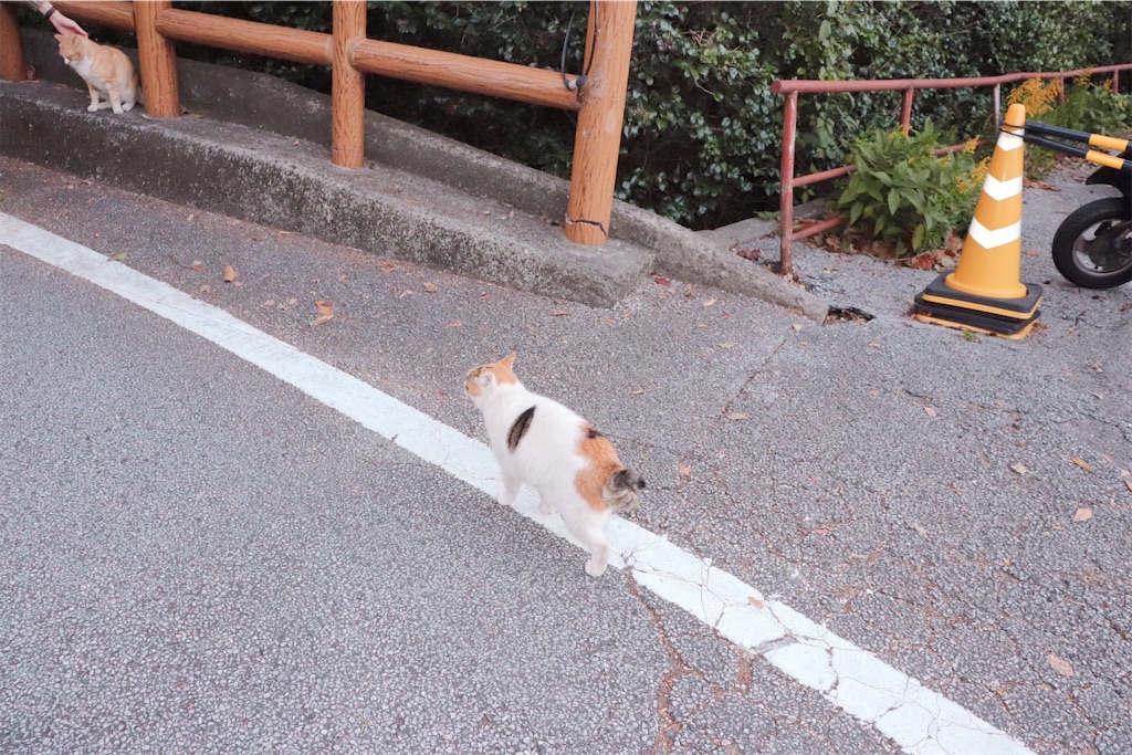 f:id:ayao_trip:20200127070606j:image