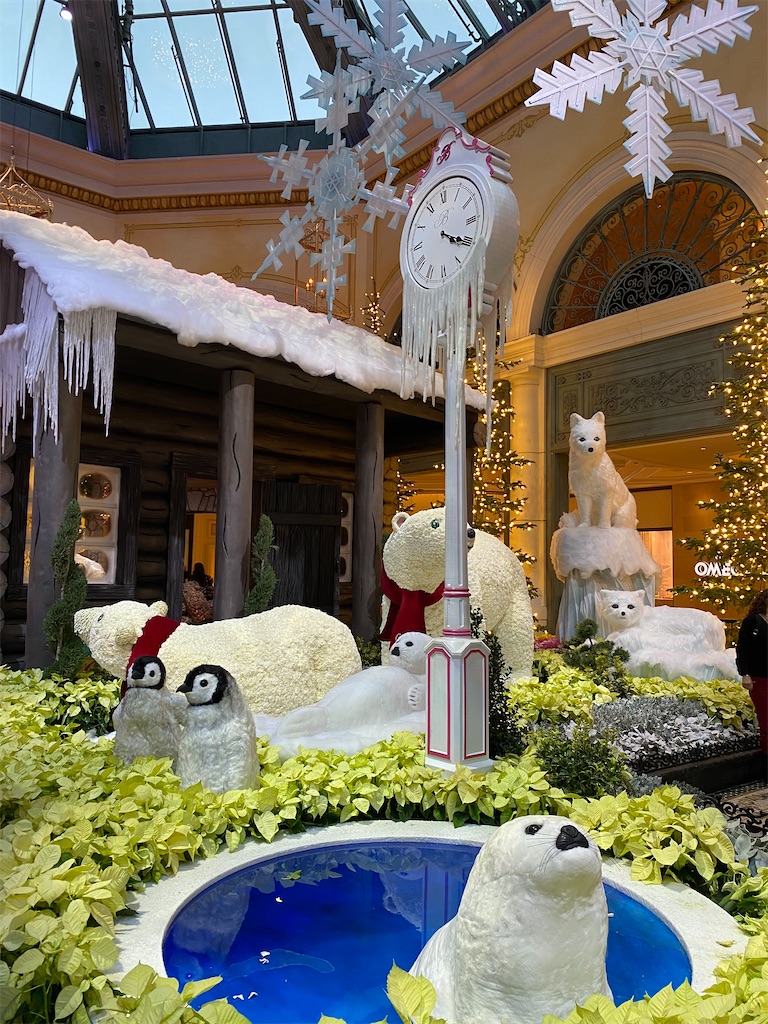 f:id:ayaorim:20211201060400j:image