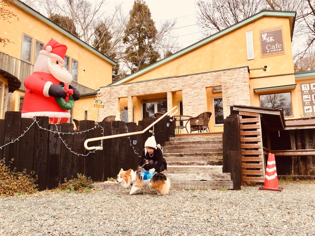 f:id:ayapone-1706:20181218214618j:image f:id:ayapone-1706:20181218214618j:image
