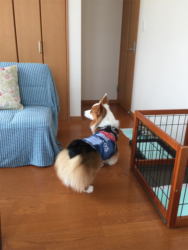 f:id:ayapone-1706:20181218214925j:image f:id:ayapone-1706:20181218214925j:image