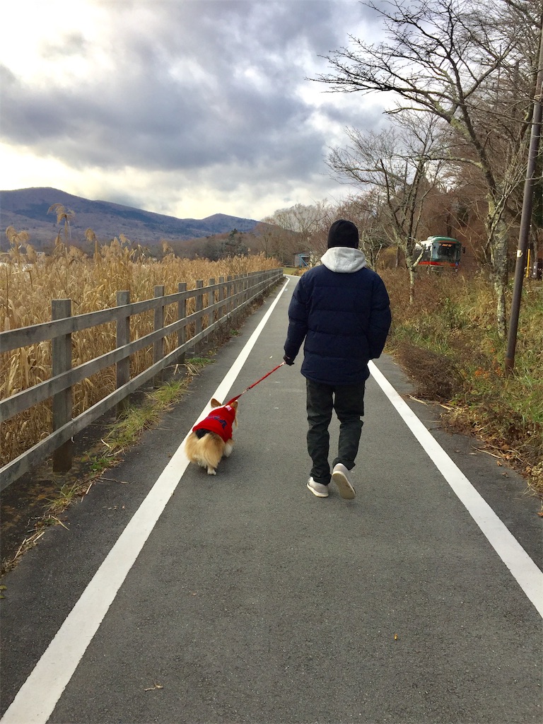 f:id:ayapone-1706:20181218222608j:image f:id:ayapone-1706:20181218222608j:image
