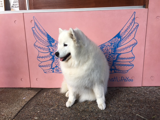 f:id:ayaroma:20170615090509j:plain f:id:ayaroma:20170615090509j:plain