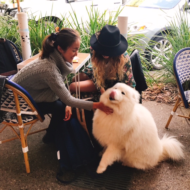 f:id:ayaroma:20170615090518j:plain f:id:ayaroma:20170615090518j:plain