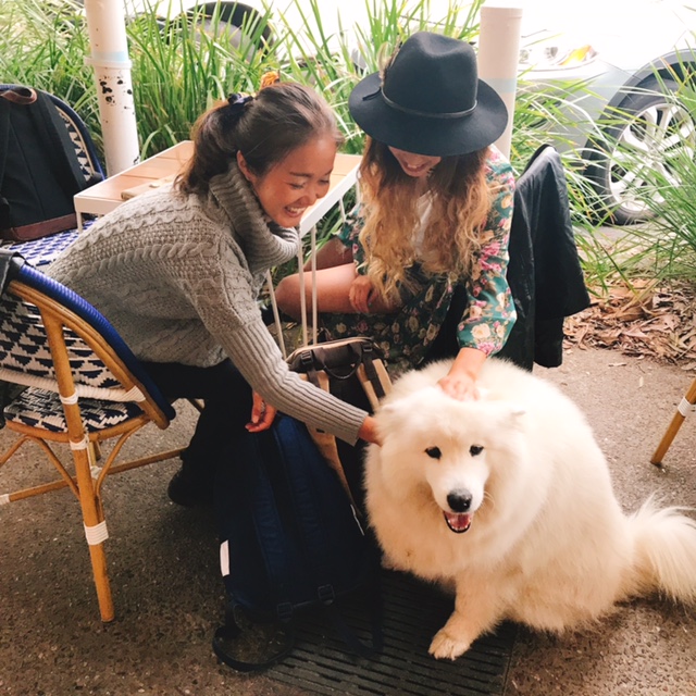 f:id:ayaroma:20170615090522j:plain f:id:ayaroma:20170615090522j:plain