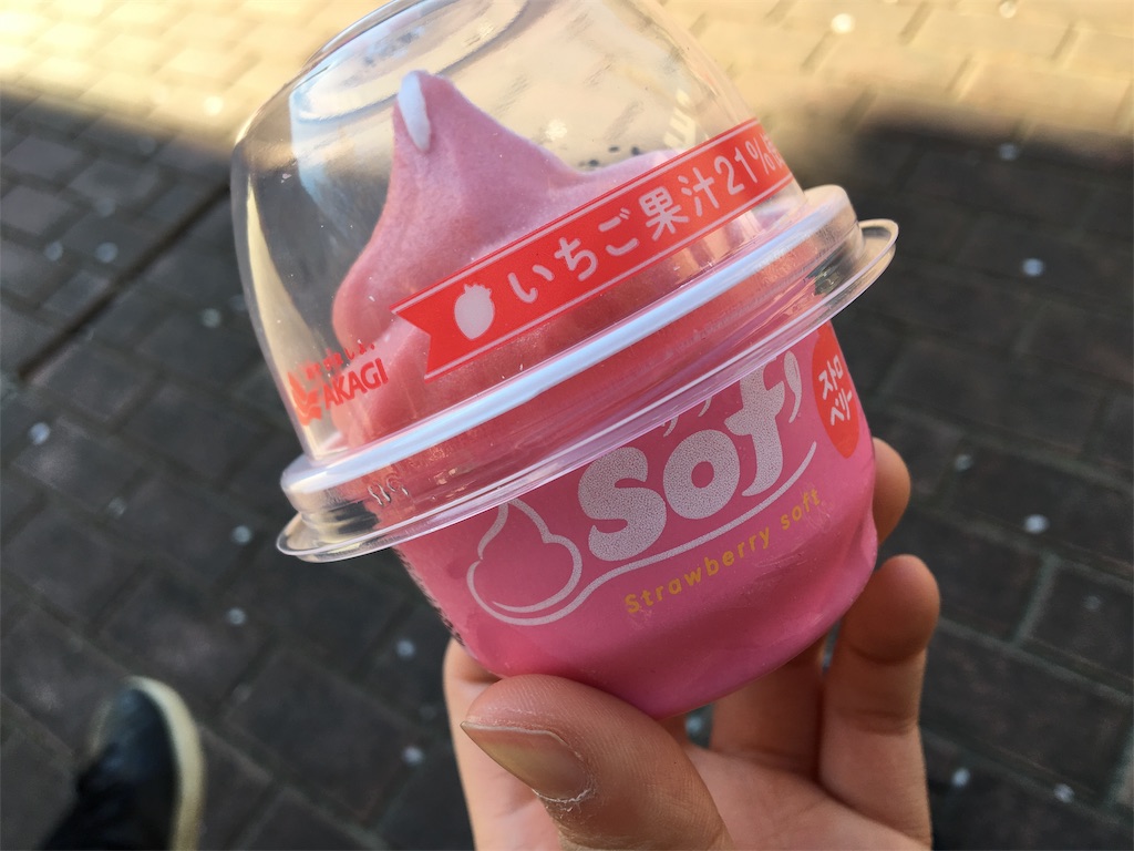 f:id:ayasai109:20190416151801j:image