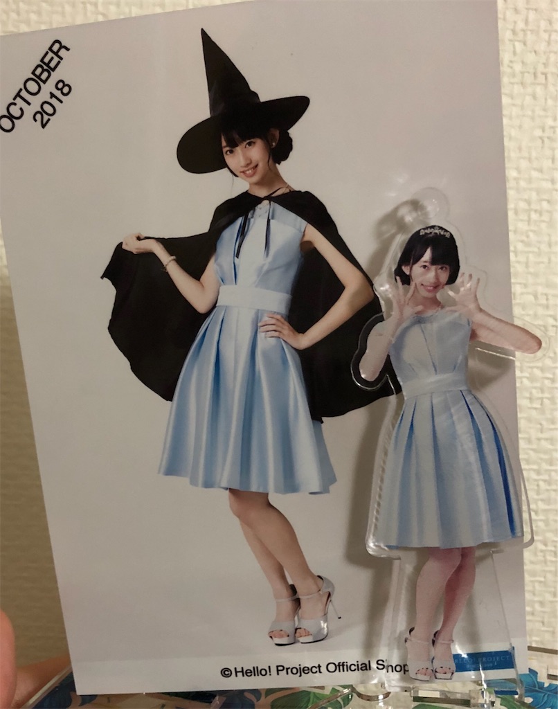f:id:ayataka2018:20181023030043j:image