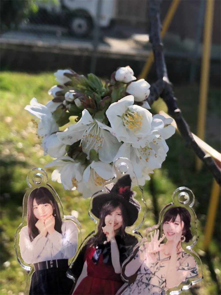 f:id:ayataka2018:20190417163917j:image