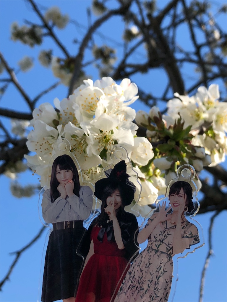 f:id:ayataka2018:20190417163931j:image