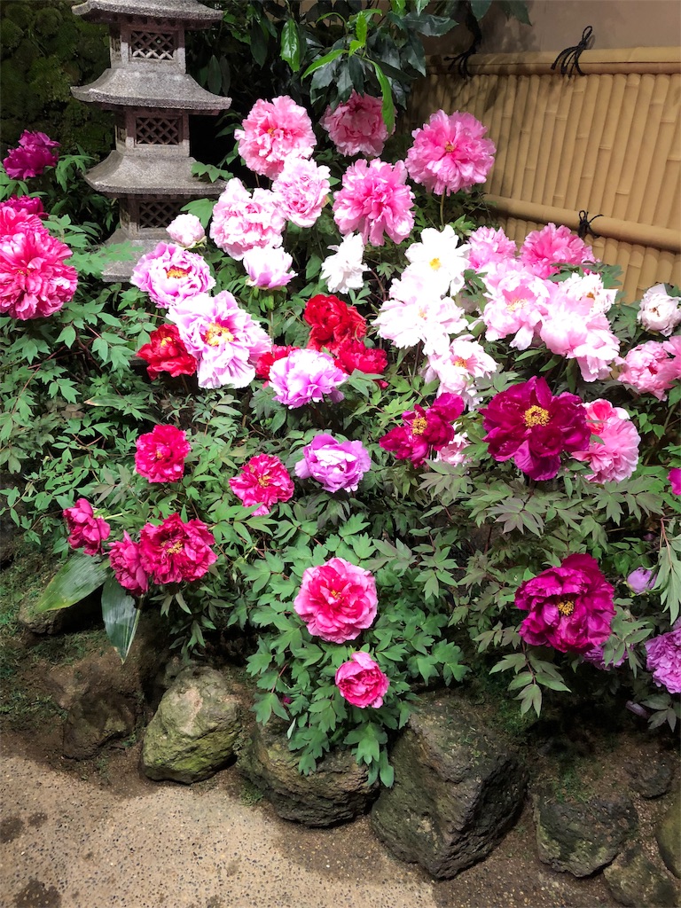 f:id:ayataka2018:20190430203727j:image