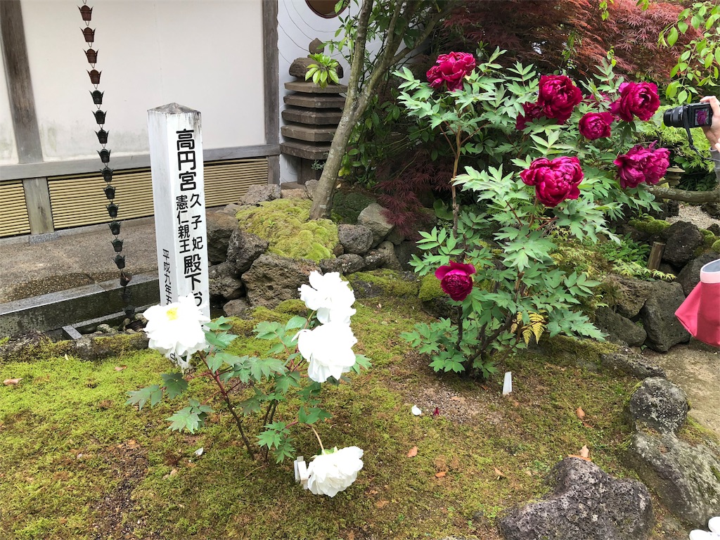 f:id:ayataka2018:20190430203928j:image