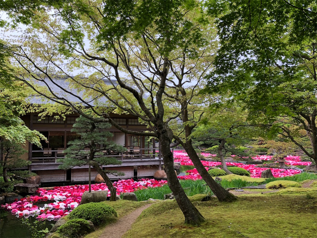 f:id:ayataka2018:20190430203934j:image