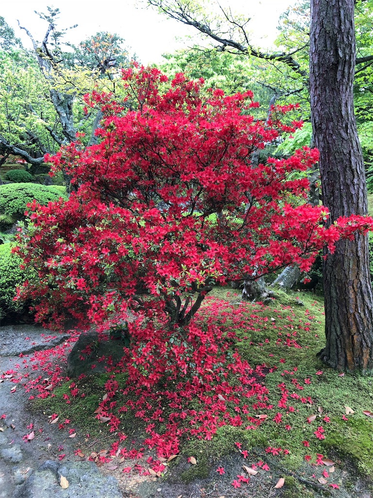 f:id:ayataka2018:20190430203938j:image