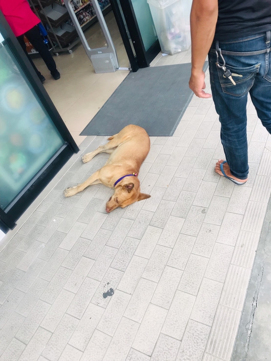 f:id:ayataka98:20190813114421j:plain