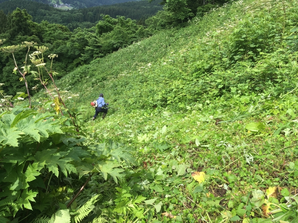 f:id:ayateck:20180604220504j:plain