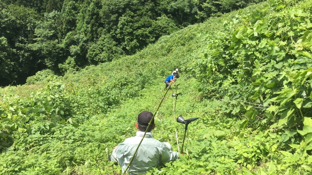 f:id:ayateck:20180703125142j:plain