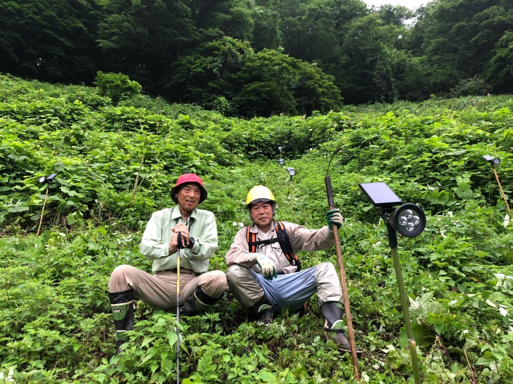 f:id:ayateck:20180718070845j:plain