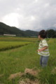 20090829154146