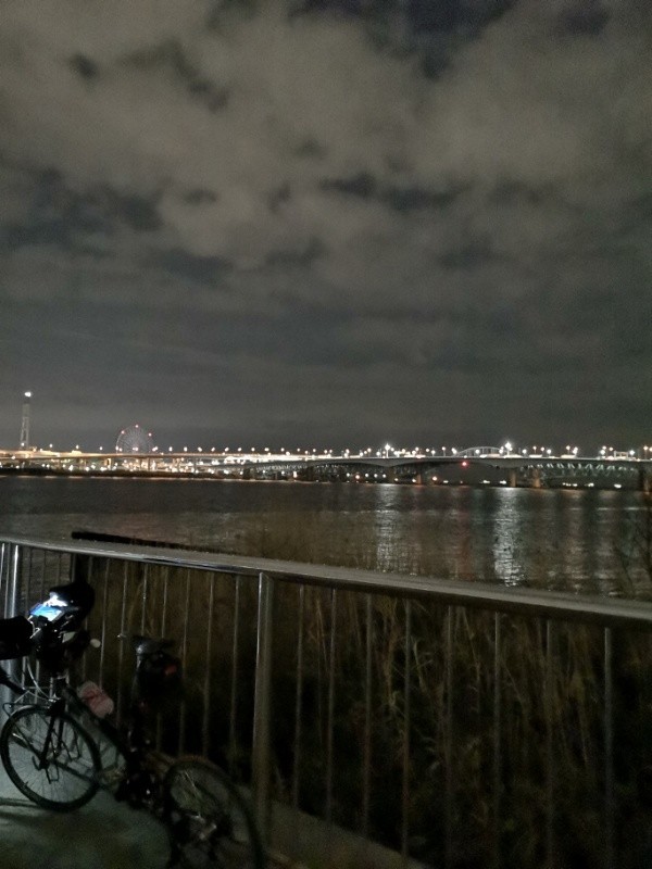 f:id:ayati:20190205051250j:plain