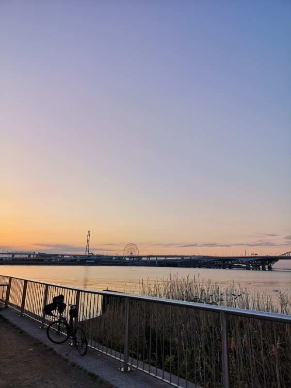 f:id:ayati:20190317055953j:plain