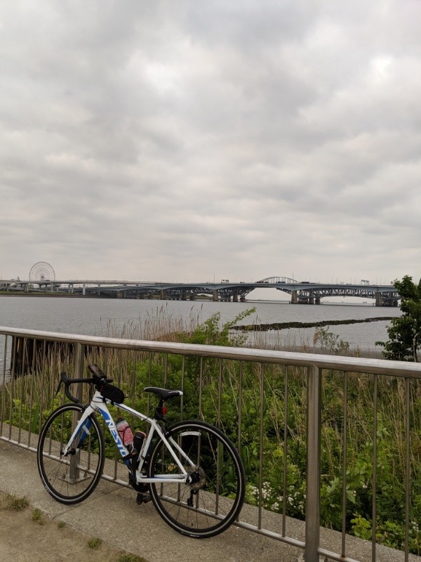 f:id:ayati:20190513052520j:plain