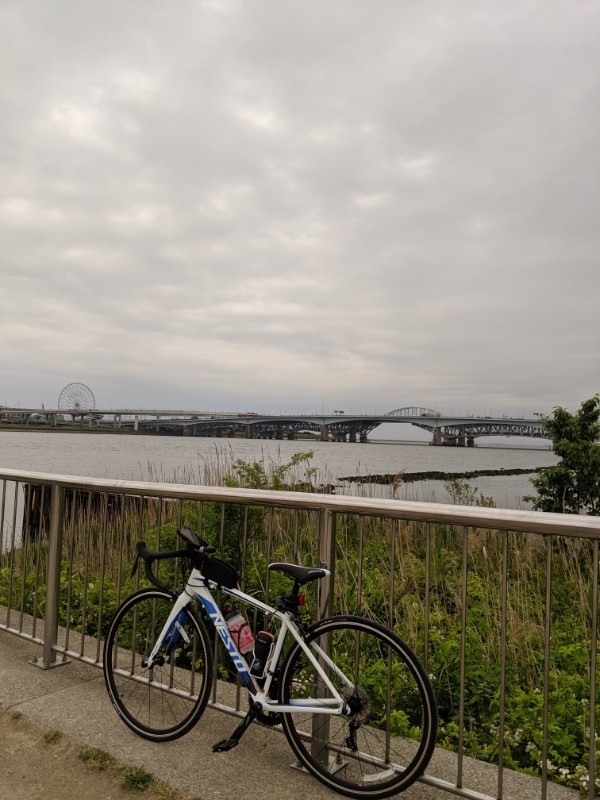 f:id:ayati:20190514052824j:plain