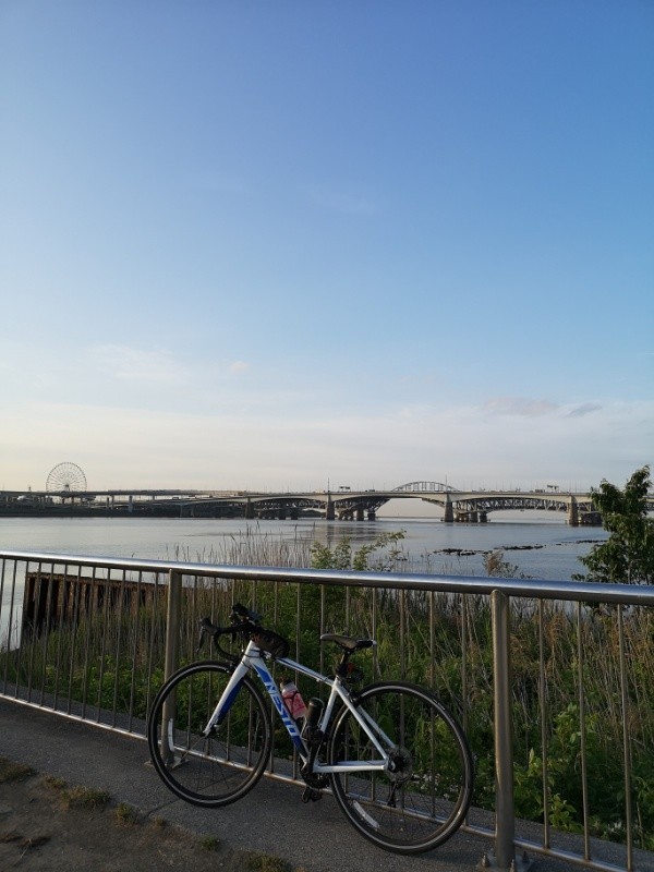 f:id:ayati:20190516051812j:plain