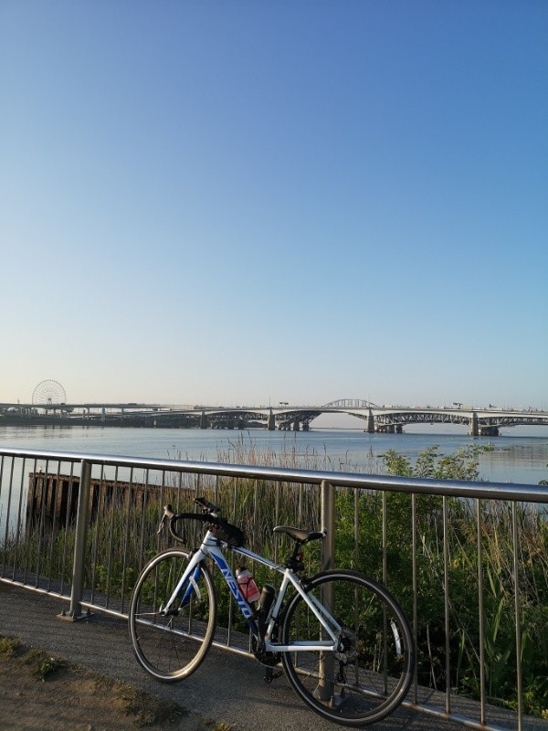 f:id:ayati:20190517052816j:plain