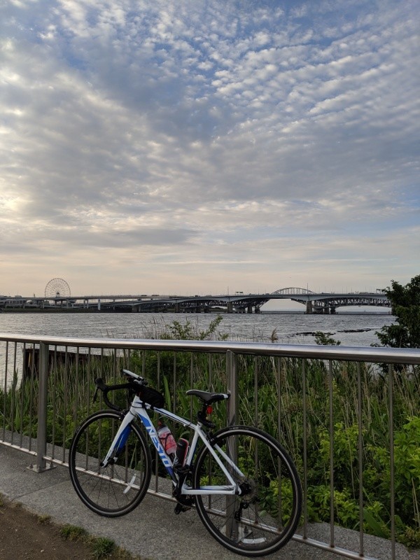 f:id:ayati:20190531051836j:plain