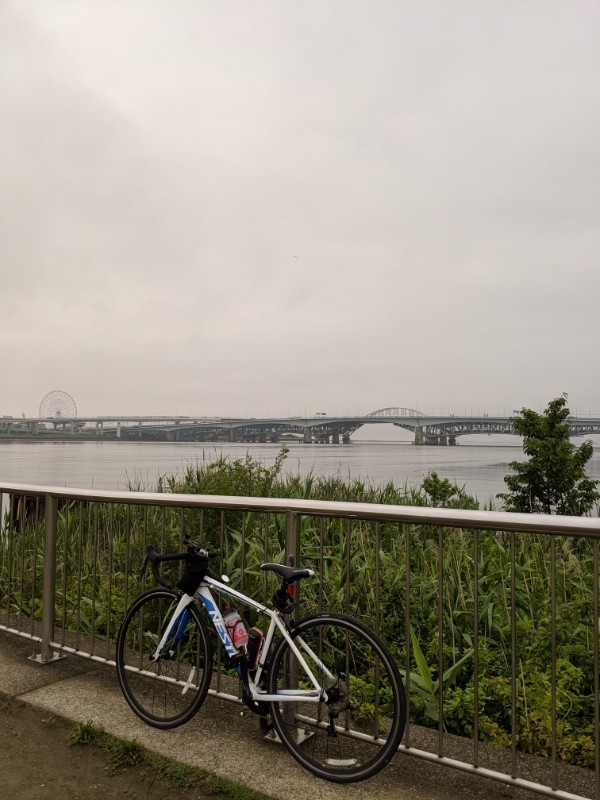 f:id:ayati:20190701052252j:plain