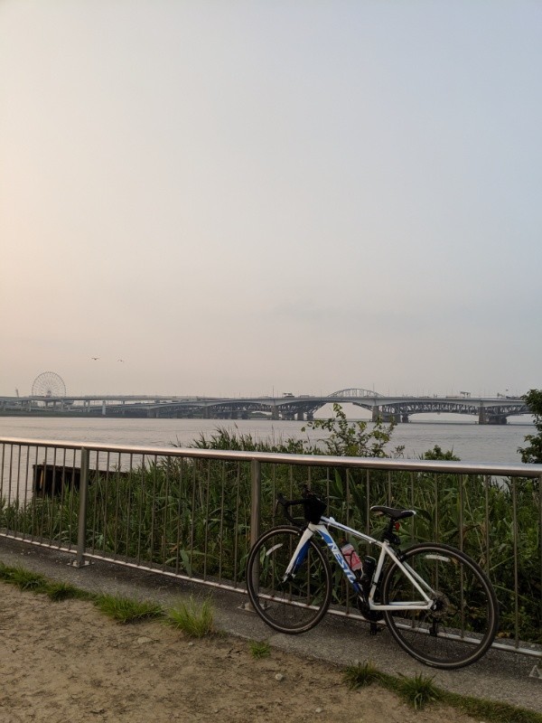 f:id:ayati:20190802050444j:plain