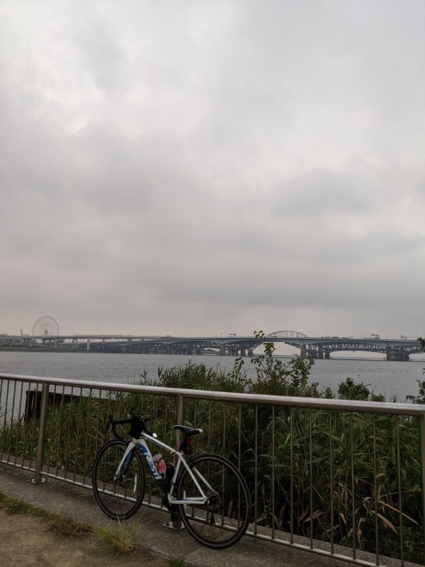 f:id:ayati:20190819050604j:plain