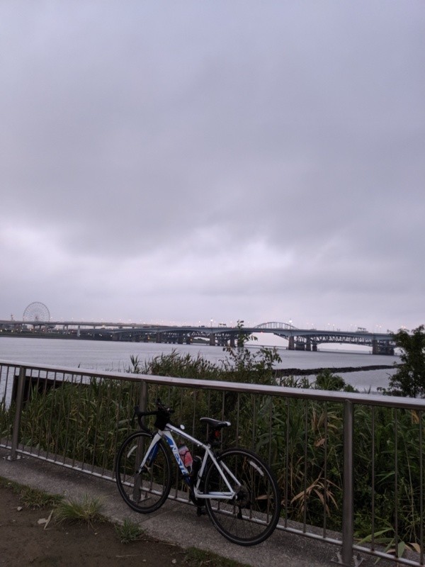 f:id:ayati:20190827050544j:plain