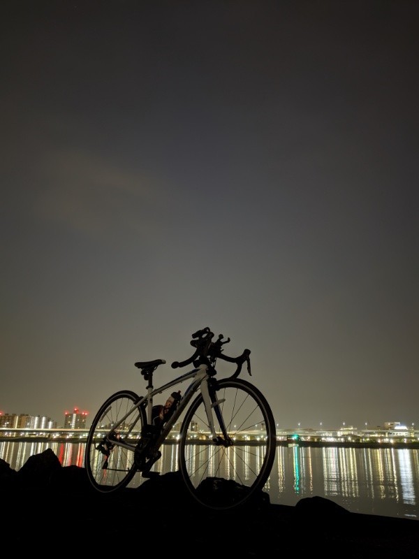 f:id:ayati:20200322045319j:plain