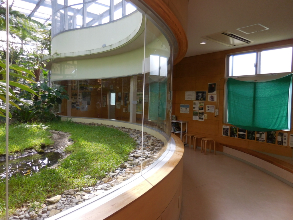 f:id:ayayacha:20171011221216j:plain