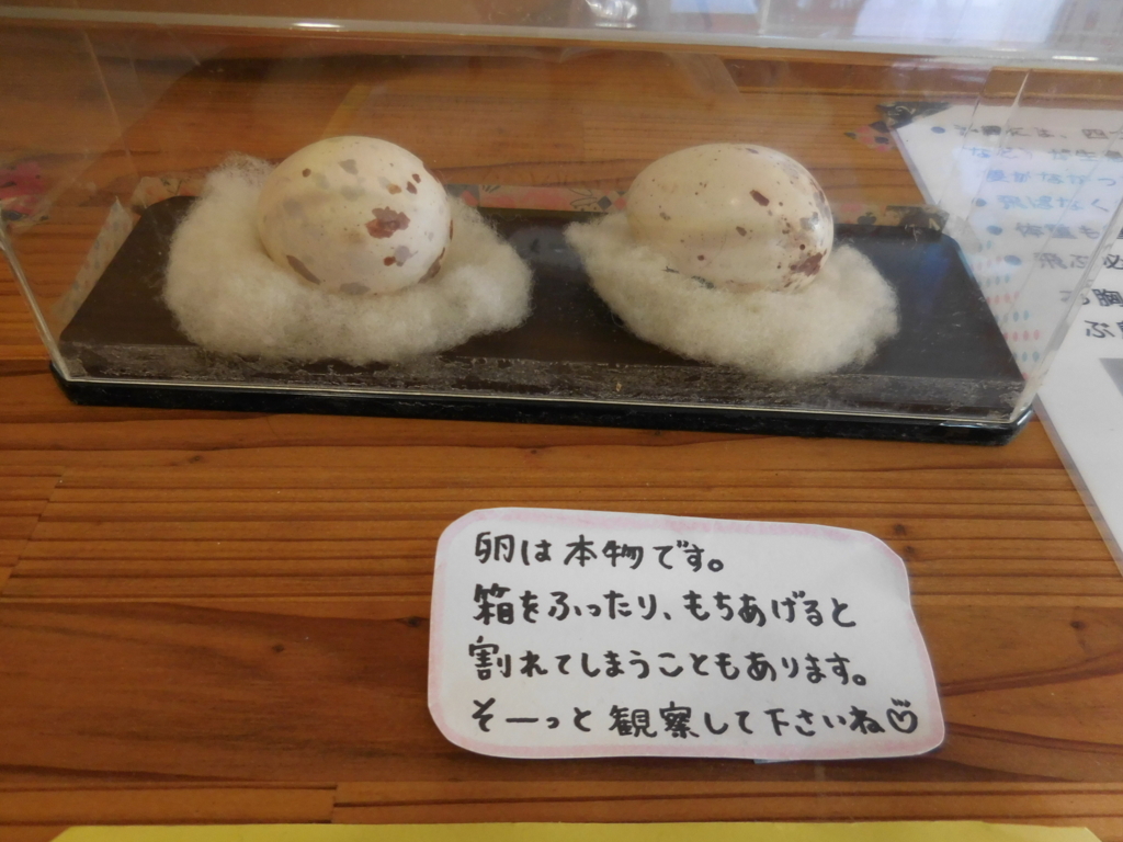 f:id:ayayacha:20171011221230j:plain