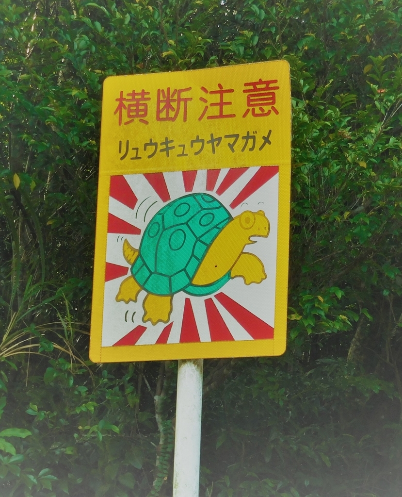 f:id:ayayacha:20171011221300j:plain