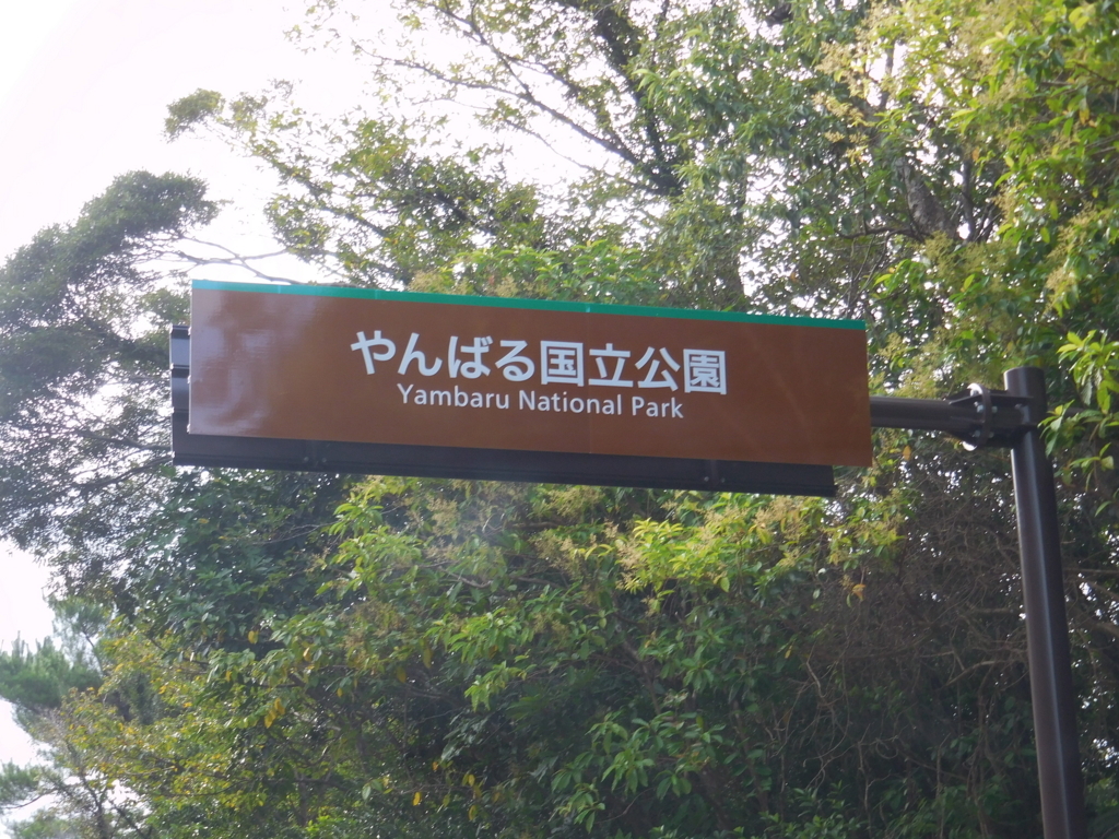 f:id:ayayacha:20171011221306j:plain