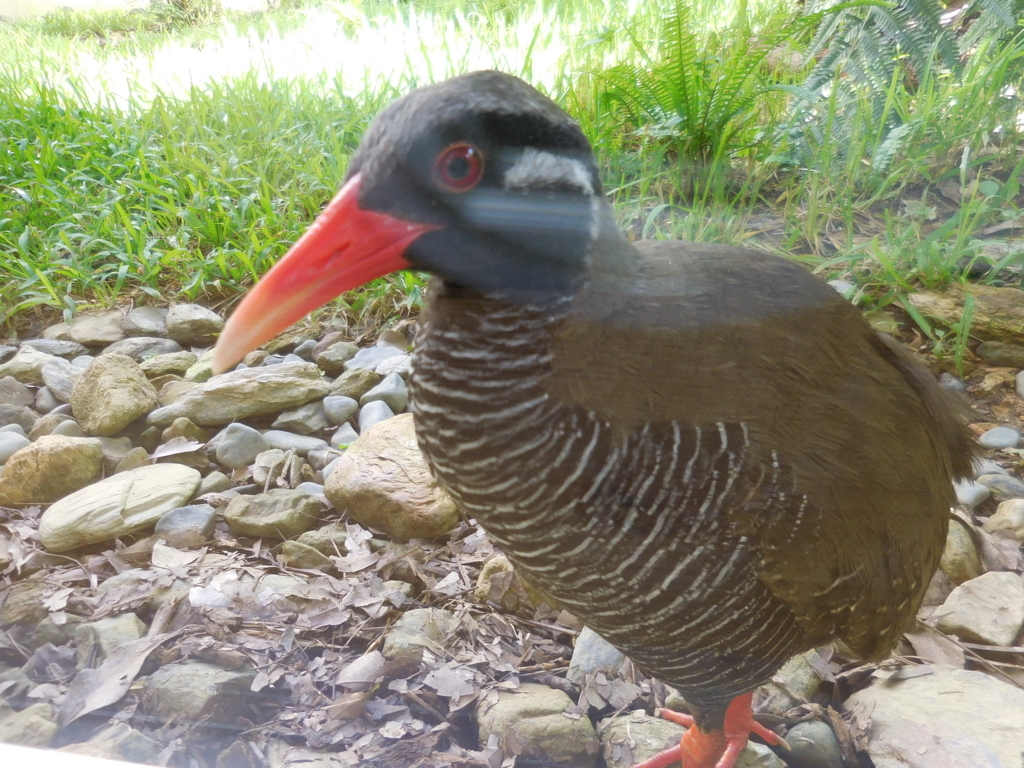 f:id:ayayacha:20171011221749j:plain