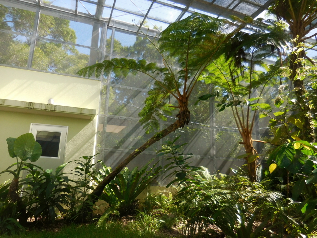 f:id:ayayacha:20171011221803j:plain