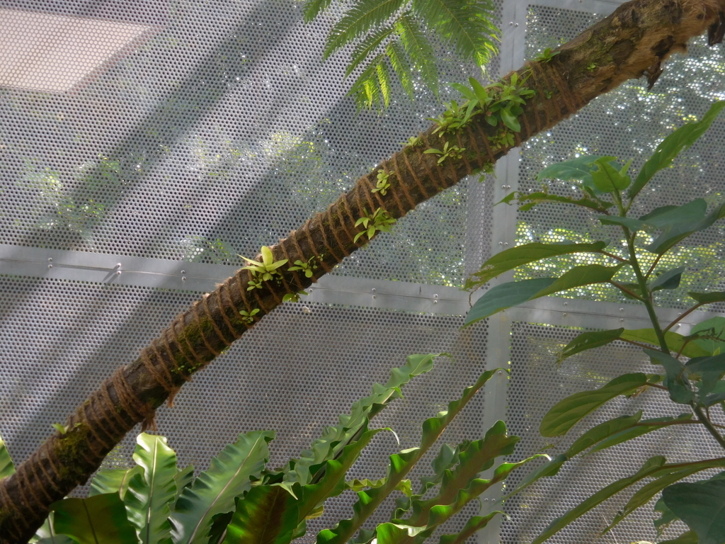 f:id:ayayacha:20171011221819j:plain