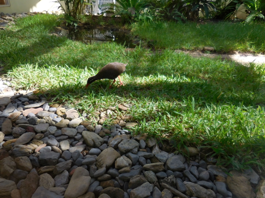 f:id:ayayacha:20171011221847j:plain