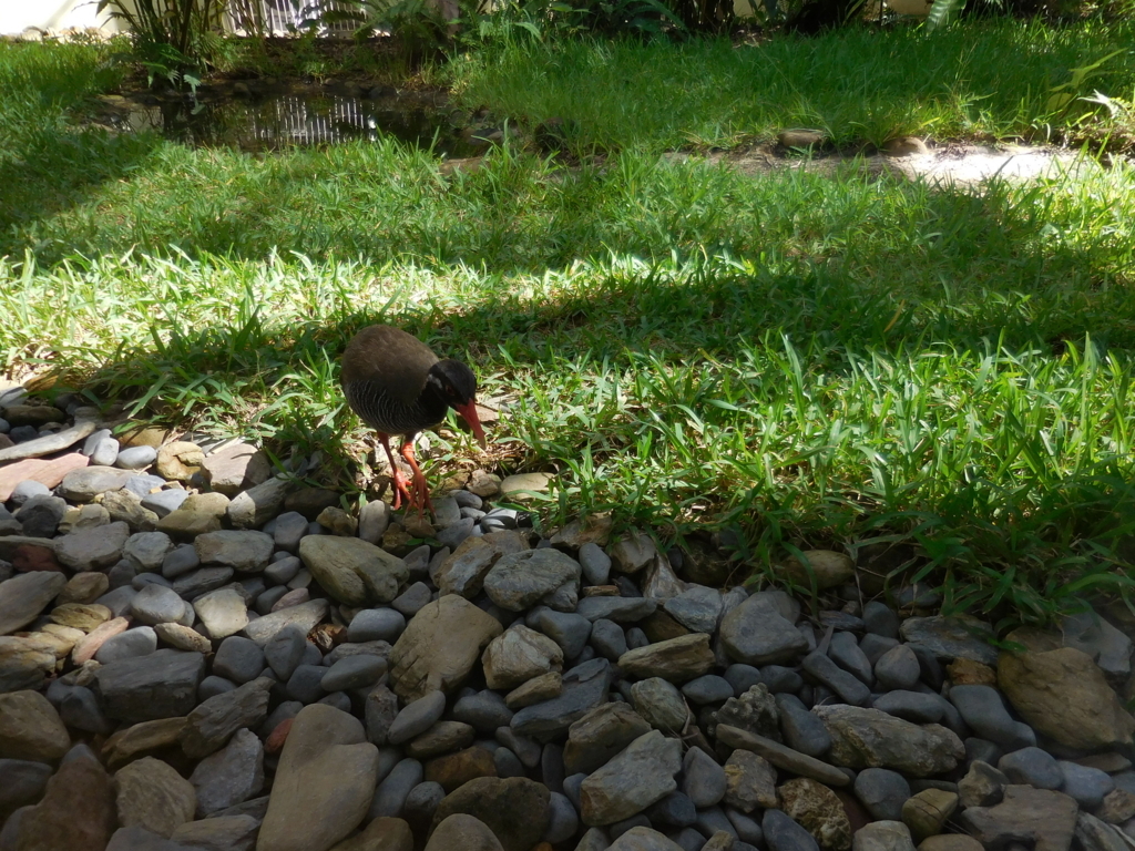 f:id:ayayacha:20171011221901j:plain