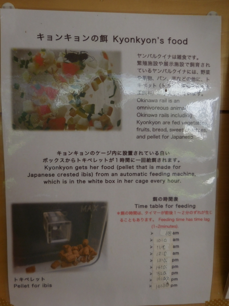 f:id:ayayacha:20171011221934j:plain